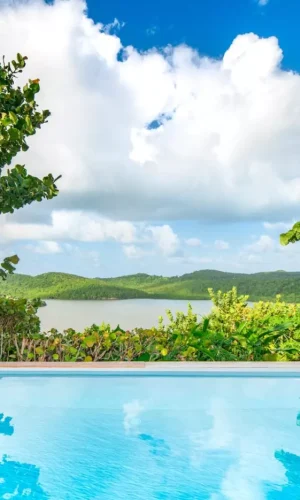 Piscine avec vue
